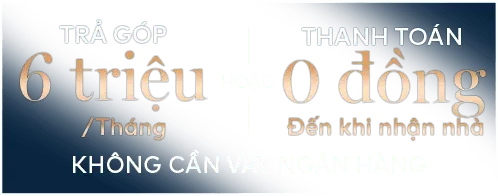 Chính sách dự án Fenica